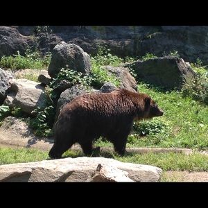 Meet your Posher, Carlos